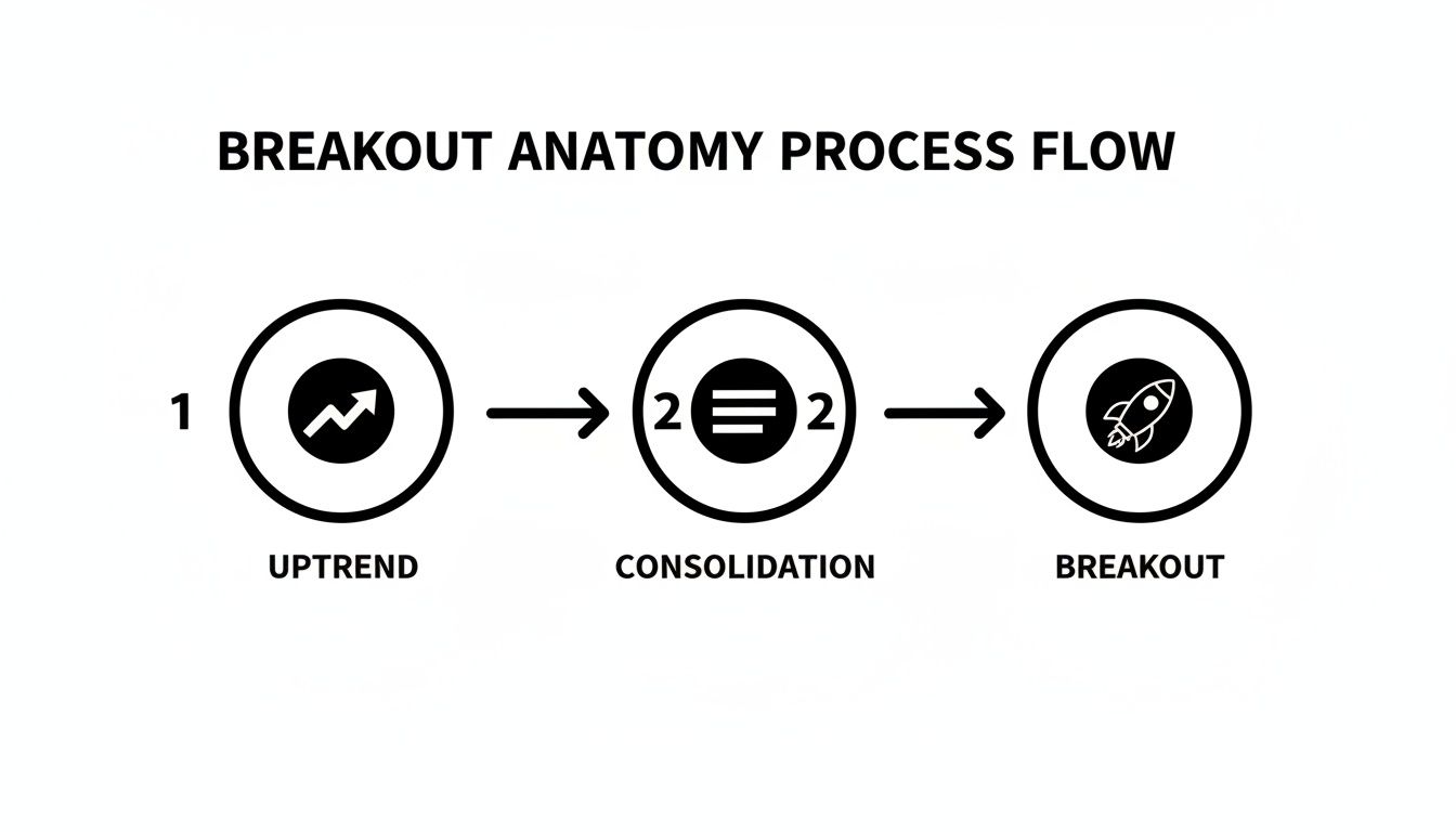 A visual representation of the breakout anatomy process flow, showing uptrend, consolidation, and breakout stages.