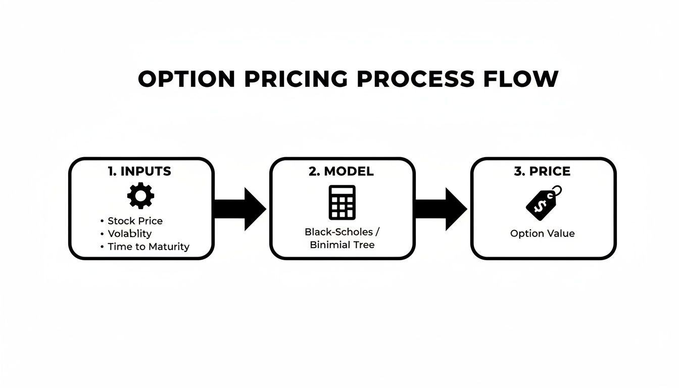Diagram showing the three-step option pricing process flow: inputs, model, and output.